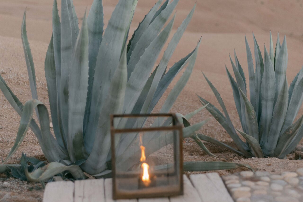 Glass lantern glowing among agave plants at a luxury camp in the Agafay desert
