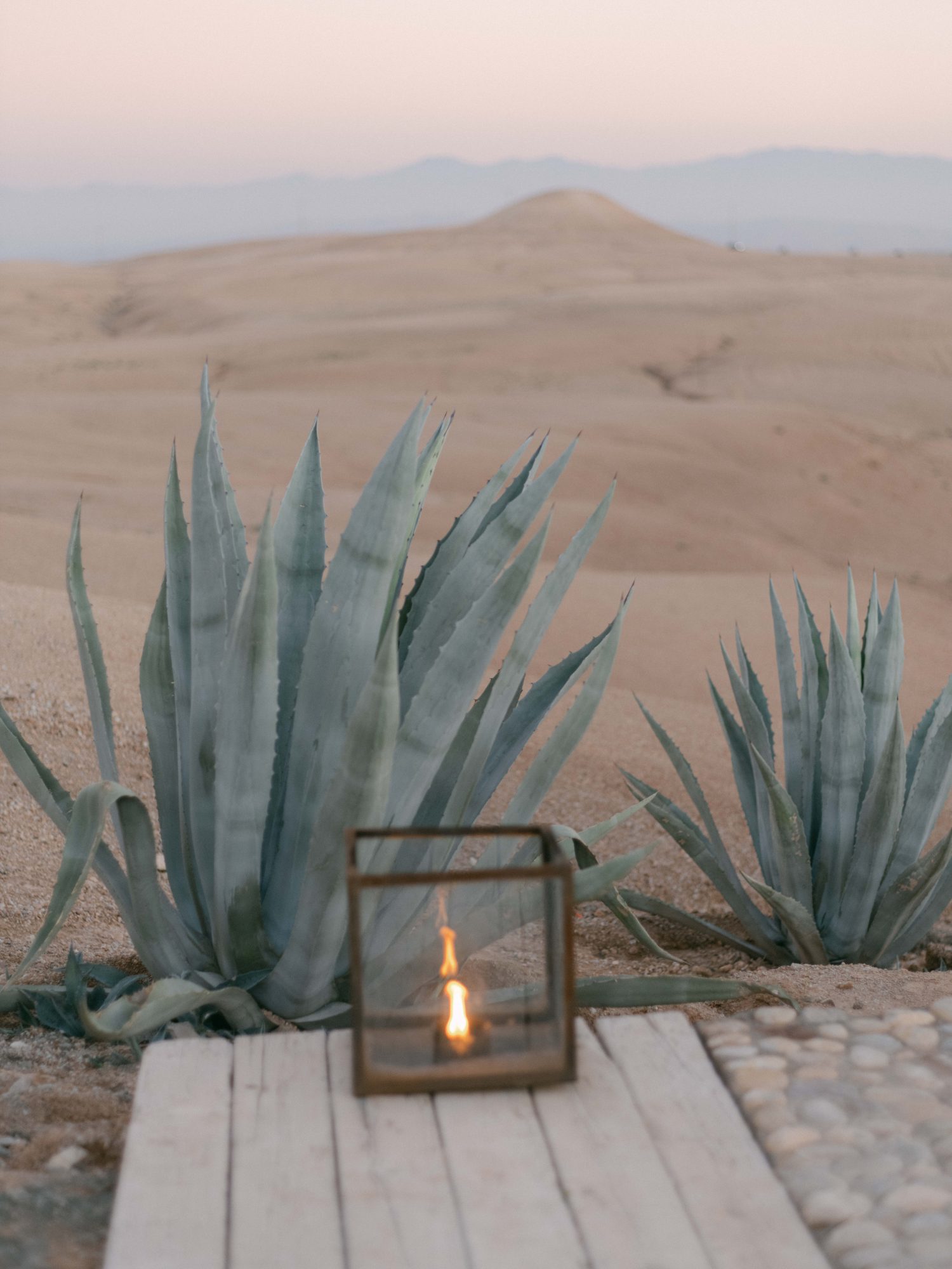 Agafay desert agave lantern detail Agave plants and a glowing lantern on a wooden deck, Agafay desert