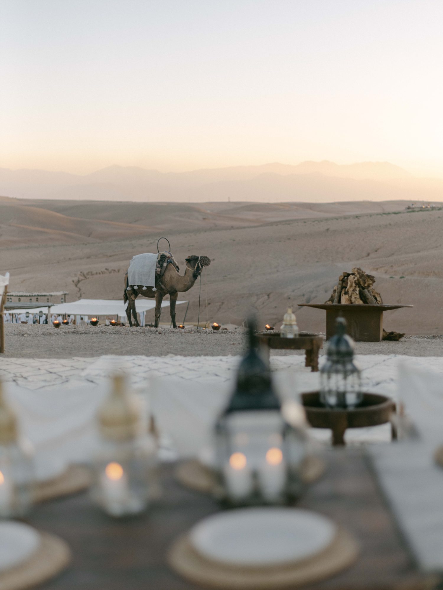 Camel and Moroccan lanterns beside a dinner table at sunset in the Agafay desert