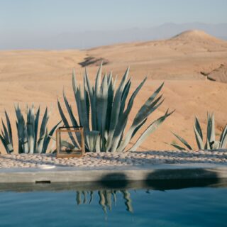 Agave plants and a lantern reflected in a camp pool, Agafay desert