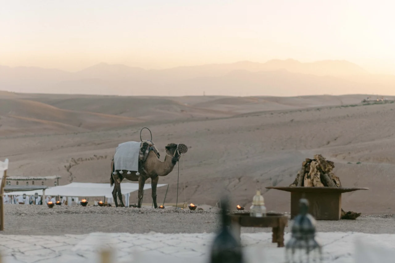 Desert proposal in Agafay near Marrakech